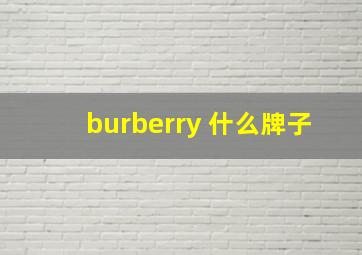 burberry 什么牌子